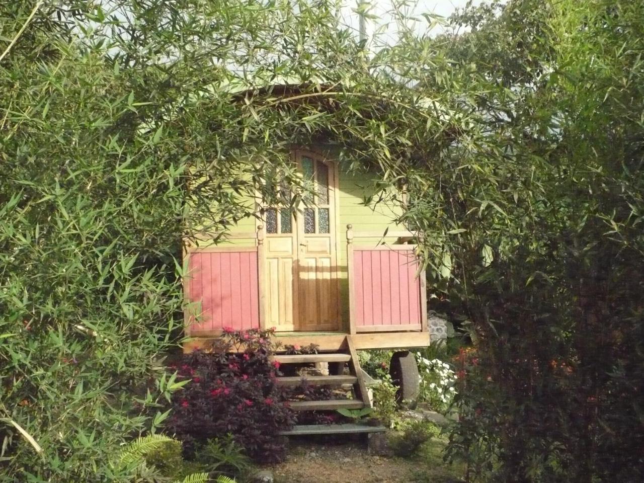 Hosteria La Roulotte - Mindo Eksteriør bilde
