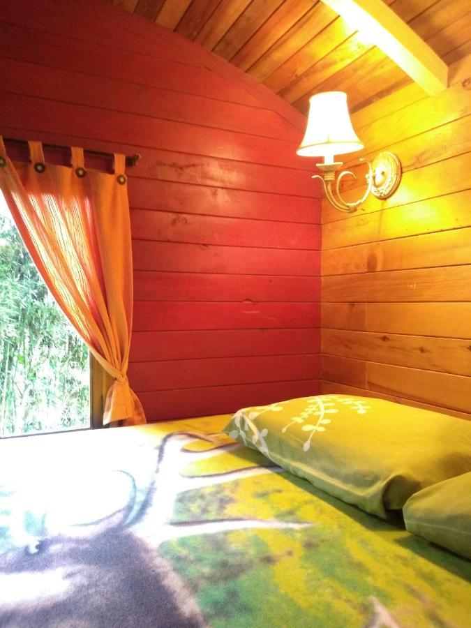 Hosteria La Roulotte - Mindo Eksteriør bilde